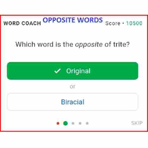 How to Play Google Coach Word Game